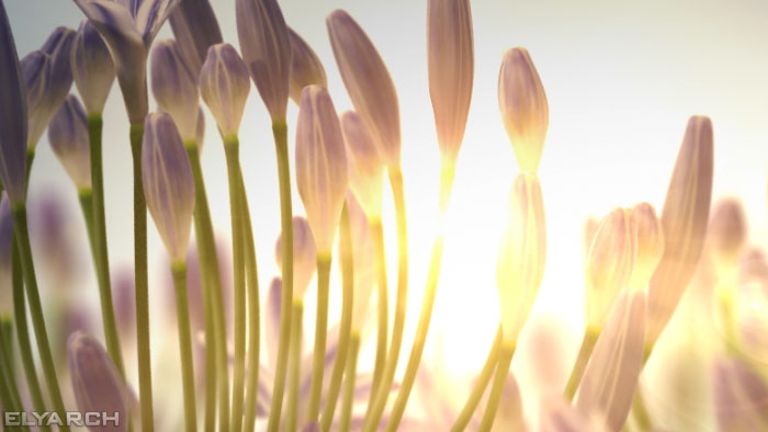 detail from a 3D CG video of agapanthus flowers